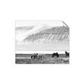 Picture of Wild Horses _GroupedProduct_Rectangle_Landscape_Photography _GroupedProduct_Rectangle_Landscape_Unframed_Print_Only_