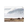 Picture of Wild Horses _GroupedProduct_Rectangle_Landscape_Photography _GroupedProduct_Rectangle_Landscape_Unframed_Print_Only_