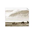 Picture of Wild Horses _GroupedProduct_Rectangle_Landscape_Photography _GroupedProduct_Rectangle_Landscape_Unframed_Print_Only_