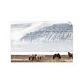 Picture of Wild Horses _GroupedProduct_Rectangle_Landscape_Photography _GroupedProduct_Rectangle_Landscape_Unframed_Print_Only_