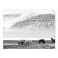 Picture of Wild Horses _GroupedProduct_Rectangle_Landscape_Photography _GroupedProduct_Rectangle_Landscape_Unframed_Print_Only_