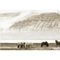 Picture of Wild Horses _GroupedProduct_Rectangle_Landscape_Photography _GroupedProduct_Rectangle_Landscape_Unframed_Print_Only_