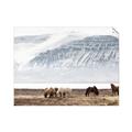 Picture of Wild Horses _GroupedProduct_Rectangle_Landscape_Photography _GroupedProduct_Rectangle_Landscape_Unframed_Print_Only_