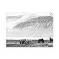 Picture of Wild Horses _GroupedProduct_Rectangle_Landscape_Photography _GroupedProduct_Rectangle_Landscape_Unframed_Print_Only_