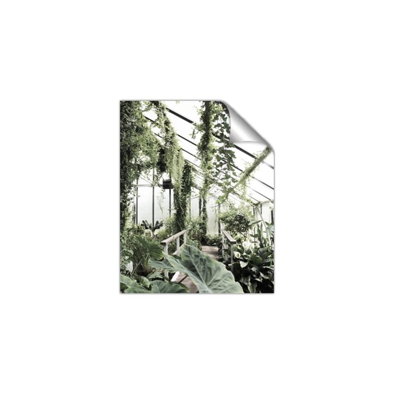 Picture of Greenhouse Serenity  _GroupedProduct_Rectangle_Portrait_Photography _GroupedProduct_Rectangle_Portrait_Unframed_Print_Only_