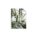 Picture of Greenhouse Serenity  _GroupedProduct_Rectangle_Portrait_Photography _GroupedProduct_Rectangle_Portrait_Unframed_Print_Only_
