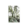 Picture of Greenhouse Serenity  _GroupedProduct_Rectangle_Portrait_Photography _GroupedProduct_Rectangle_Portrait_Unframed_Print_Only_