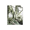 Picture of Greenhouse Serenity  _GroupedProduct_Rectangle_Portrait_Photography _GroupedProduct_Rectangle_Portrait_Unframed_Print_Only_