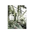 Picture of Greenhouse Serenity  _GroupedProduct_Rectangle_Portrait_Photography _GroupedProduct_Rectangle_Portrait_Unframed_Print_Only_