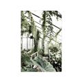 Picture of Greenhouse Serenity  _GroupedProduct_Rectangle_Portrait_Photography _GroupedProduct_Rectangle_Portrait_Unframed_Print_Only_
