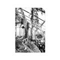 Picture of Greenhouse Serenity  _GroupedProduct_Rectangle_Portrait_Photography _GroupedProduct_Rectangle_Portrait_Unframed_Print_Only_