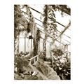 Picture of Greenhouse Serenity  _GroupedProduct_Rectangle_Portrait_Photography _GroupedProduct_Rectangle_Portrait_Unframed_Print_Only_
