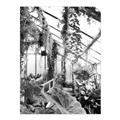 Picture of Greenhouse Serenity  _GroupedProduct_Rectangle_Portrait_Photography _GroupedProduct_Rectangle_Portrait_Unframed_Print_Only_