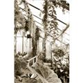 Picture of Greenhouse Serenity  _GroupedProduct_Rectangle_Portrait_Photography _GroupedProduct_Rectangle_Portrait_Unframed_Print_Only_