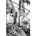 Picture of Greenhouse Serenity  _GroupedProduct_Rectangle_Portrait_Photography _GroupedProduct_Rectangle_Portrait_Unframed_Print_Only_