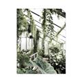 Picture of Greenhouse Serenity  _GroupedProduct_Rectangle_Portrait_Photography _GroupedProduct_Rectangle_Portrait_Unframed_Print_Only_
