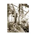 Picture of Greenhouse Serenity  _GroupedProduct_Rectangle_Portrait_Photography _GroupedProduct_Rectangle_Portrait_Unframed_Print_Only_