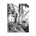 Picture of Greenhouse Serenity  _GroupedProduct_Rectangle_Portrait_Photography _GroupedProduct_Rectangle_Portrait_Unframed_Print_Only_