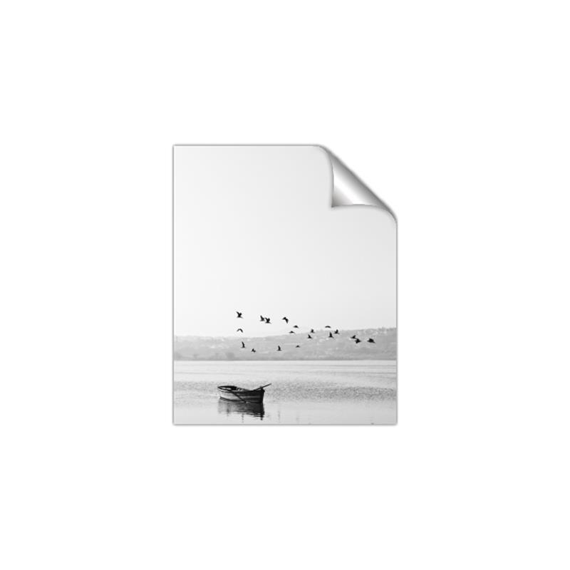 Picture of Birds over the Water _GroupedProduct_Rectangle_Portrait_Photography _GroupedProduct_Rectangle_Portrait_Unframed_Print_Only_