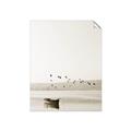 Picture of Birds over the Water _GroupedProduct_Rectangle_Portrait_Photography _GroupedProduct_Rectangle_Portrait_Unframed_Print_Only_