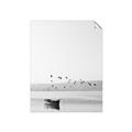 Picture of Birds over the Water _GroupedProduct_Rectangle_Portrait_Photography _GroupedProduct_Rectangle_Portrait_Unframed_Print_Only_