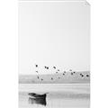 Picture of Birds over the Water _GroupedProduct_Rectangle_Portrait_Photography _GroupedProduct_Rectangle_Portrait_Unframed_Print_Only_