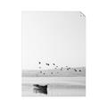 Picture of Birds over the Water _GroupedProduct_Rectangle_Portrait_Photography _GroupedProduct_Rectangle_Portrait_Unframed_Print_Only_