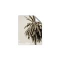 Picture of Canary Palm _GroupedProduct_Rectangle_Portrait_Photography _GroupedProduct_Rectangle_Portrait_Unframed_Print_Only_