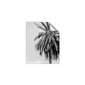 Picture of Canary Palm _GroupedProduct_Rectangle_Portrait_Photography _GroupedProduct_Rectangle_Portrait_Unframed_Print_Only_