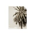 Picture of Canary Palm _GroupedProduct_Rectangle_Portrait_Photography _GroupedProduct_Rectangle_Portrait_Unframed_Print_Only_