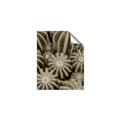 Picture of Cactus Zone _GroupedProduct_Rectangle_Portrait_Photography _GroupedProduct_Rectangle_Portrait_Unframed_Print_Only_