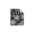 Picture of Cactus Zone _GroupedProduct_Rectangle_Portrait_Photography _GroupedProduct_Rectangle_Portrait_Unframed_Print_Only_