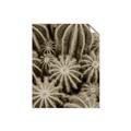 Picture of Cactus Zone _GroupedProduct_Rectangle_Portrait_Photography _GroupedProduct_Rectangle_Portrait_Unframed_Print_Only_