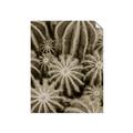 Picture of Cactus Zone _GroupedProduct_Rectangle_Portrait_Photography _GroupedProduct_Rectangle_Portrait_Unframed_Print_Only_