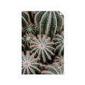 Picture of Cactus Zone _GroupedProduct_Rectangle_Portrait_Photography _GroupedProduct_Rectangle_Portrait_Unframed_Print_Only_