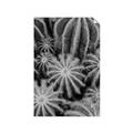 Picture of Cactus Zone _GroupedProduct_Rectangle_Portrait_Photography _GroupedProduct_Rectangle_Portrait_Unframed_Print_Only_