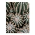 Picture of Cactus Zone _GroupedProduct_Rectangle_Portrait_Photography _GroupedProduct_Rectangle_Portrait_Unframed_Print_Only_