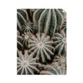 Picture of Cactus Zone _GroupedProduct_Rectangle_Portrait_Photography _GroupedProduct_Rectangle_Portrait_Unframed_Print_Only_