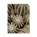 Picture of Cactus Zone _GroupedProduct_Rectangle_Portrait_Photography _GroupedProduct_Rectangle_Portrait_Unframed_Print_Only_