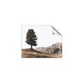 Picture of Tree on a Hill _GroupedProduct_Rectangle_Landscape_Photography _GroupedProduct_Rectangle_Landscape_Unframed_Print_Only_