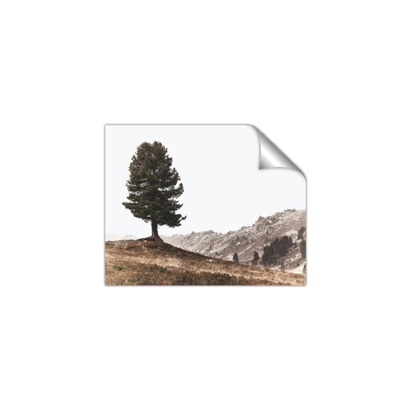 Picture of Tree on a Hill _GroupedProduct_Rectangle_Landscape_Photography _GroupedProduct_Rectangle_Landscape_Unframed_Print_Only_