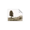 Picture of Tree on a Hill _GroupedProduct_Rectangle_Landscape_Photography _GroupedProduct_Rectangle_Landscape_Unframed_Print_Only_