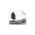 Picture of Tree on a Hill _GroupedProduct_Rectangle_Landscape_Photography _GroupedProduct_Rectangle_Landscape_Unframed_Print_Only_