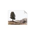 Picture of Tree on a Hill _GroupedProduct_Rectangle_Landscape_Photography _GroupedProduct_Rectangle_Landscape_Unframed_Print_Only_
