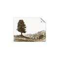 Picture of Tree on a Hill _GroupedProduct_Rectangle_Landscape_Photography _GroupedProduct_Rectangle_Landscape_Unframed_Print_Only_