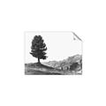 Picture of Tree on a Hill _GroupedProduct_Rectangle_Landscape_Photography _GroupedProduct_Rectangle_Landscape_Unframed_Print_Only_