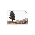 Picture of Tree on a Hill _GroupedProduct_Rectangle_Landscape_Photography _GroupedProduct_Rectangle_Landscape_Unframed_Print_Only_