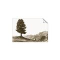 Picture of Tree on a Hill _GroupedProduct_Rectangle_Landscape_Photography _GroupedProduct_Rectangle_Landscape_Unframed_Print_Only_