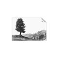 Picture of Tree on a Hill _GroupedProduct_Rectangle_Landscape_Photography _GroupedProduct_Rectangle_Landscape_Unframed_Print_Only_