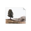 Picture of Tree on a Hill _GroupedProduct_Rectangle_Landscape_Photography _GroupedProduct_Rectangle_Landscape_Unframed_Print_Only_